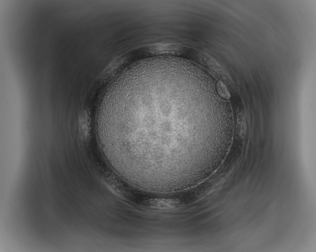 X0000116460255200912161238