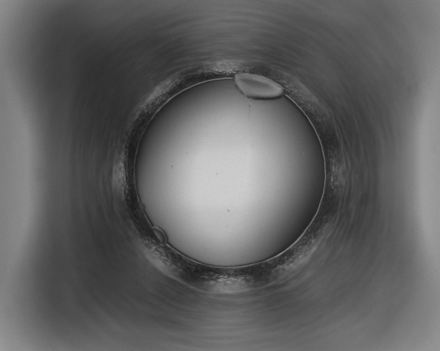 X0000116460256200912161238