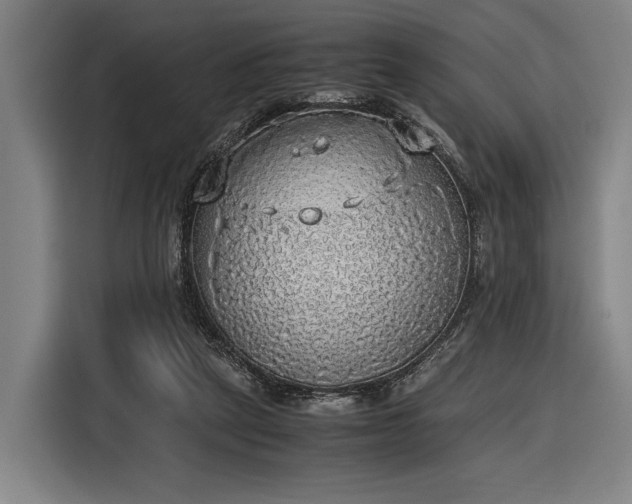 X0000116460257200912161238