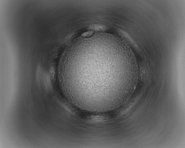 X0000116460259200912161238