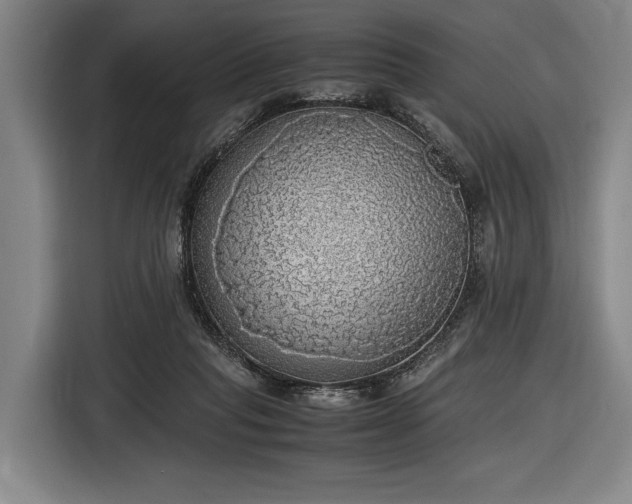 X0000116460261200912161238