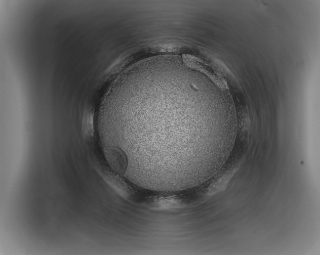 X0000116460262200912161238