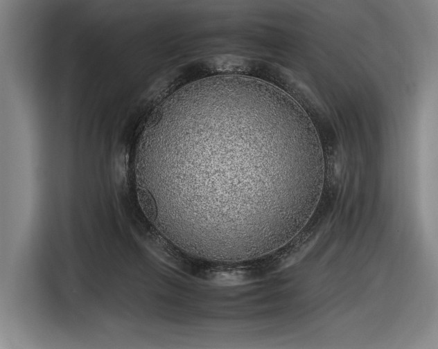 X0000116460263200912161238