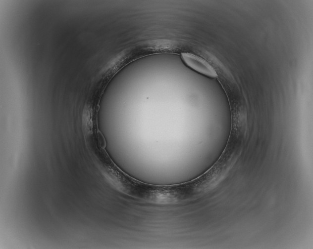 X0000116460264200912161238