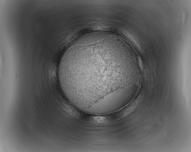 X0000116460265200912161238