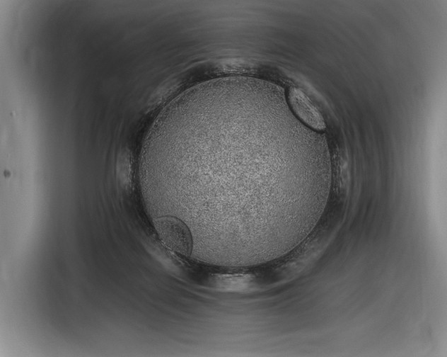 X0000116460266200912161238