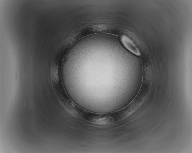 X0000116460267200912161238