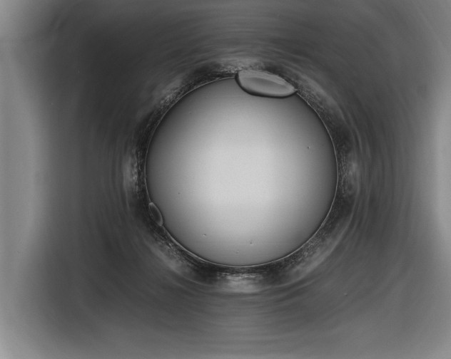 X0000116460268200912161238