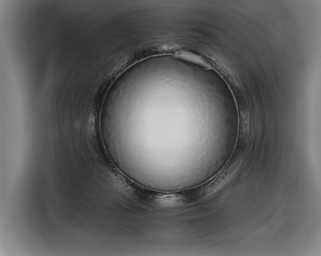 X0000116460269200912161238
