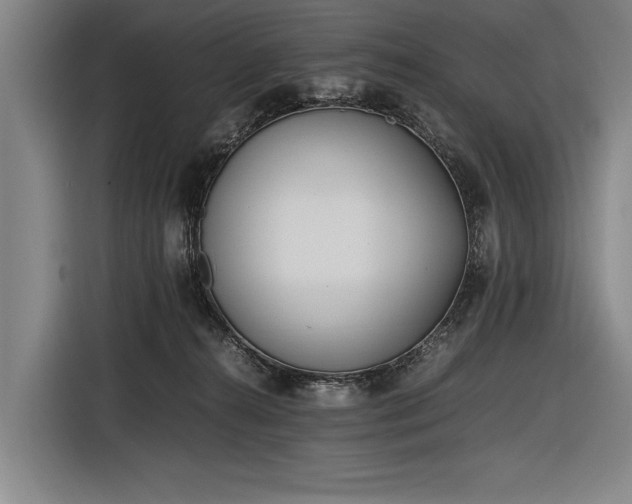 X0000116460272200912161238