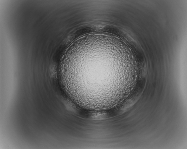 X0000116460274200912161238