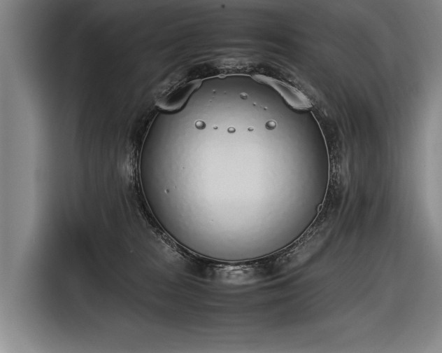 X0000116460277200912161238