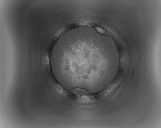 X0000116460282200912161238