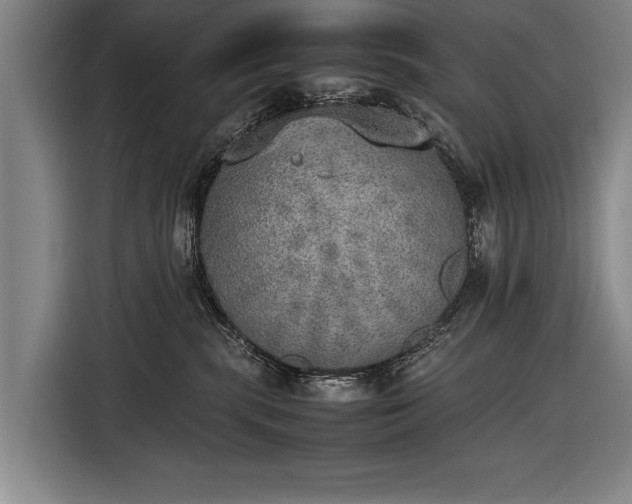 X0000116460283200912161238