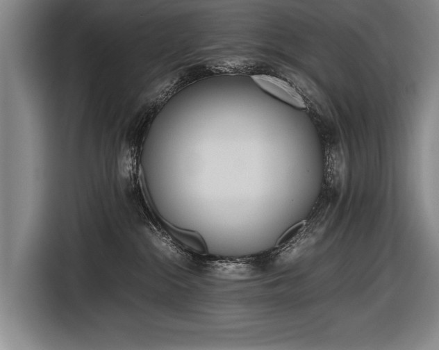 X0000116460284200912161238