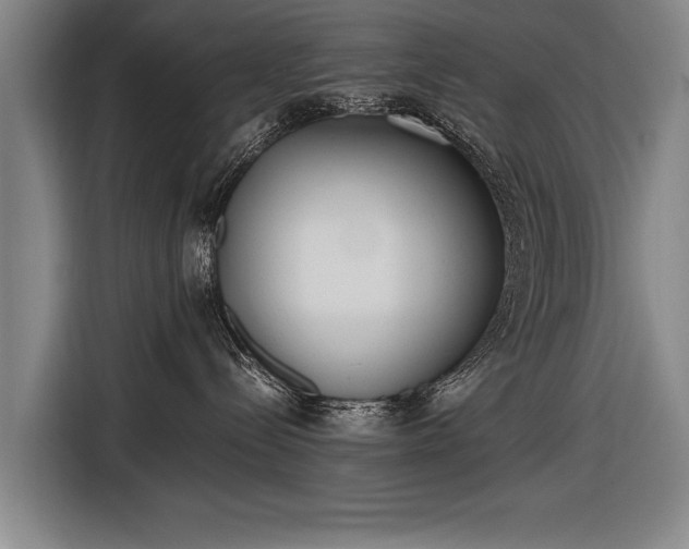 X0000116460288200912161238