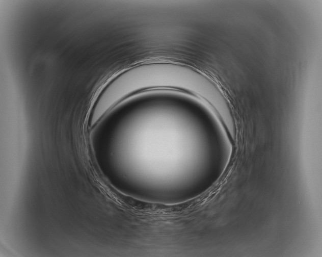 X0000116460289200912161238