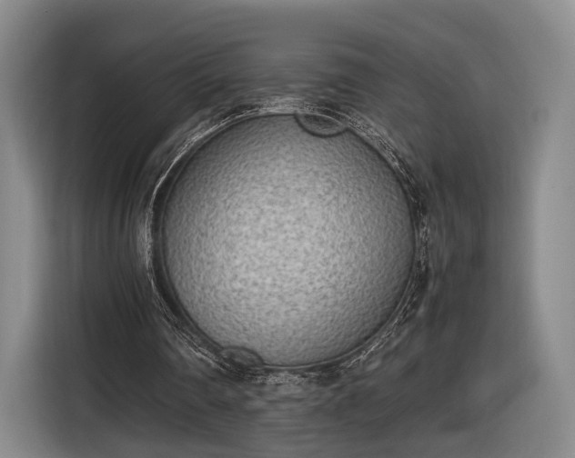 X0000116460290200912161238