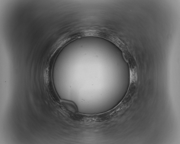 X0000116460291200912161238