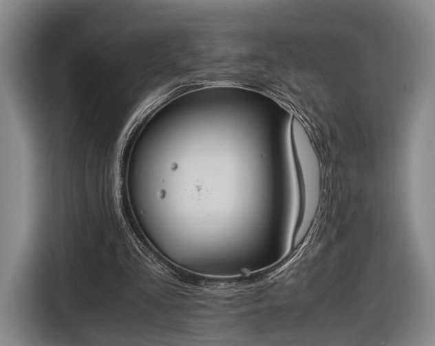 X0000116460293200912161237