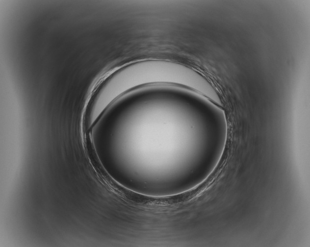 X0000116460294200912161237