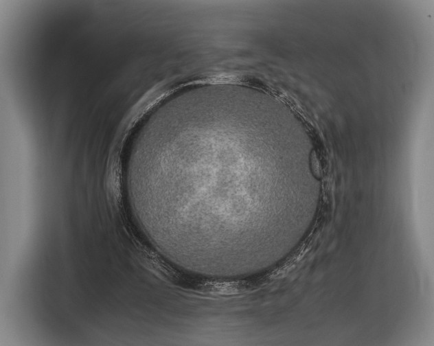 X0000116460295200912161237
