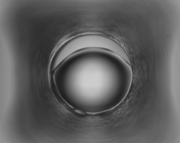 X0000116460296200912161237