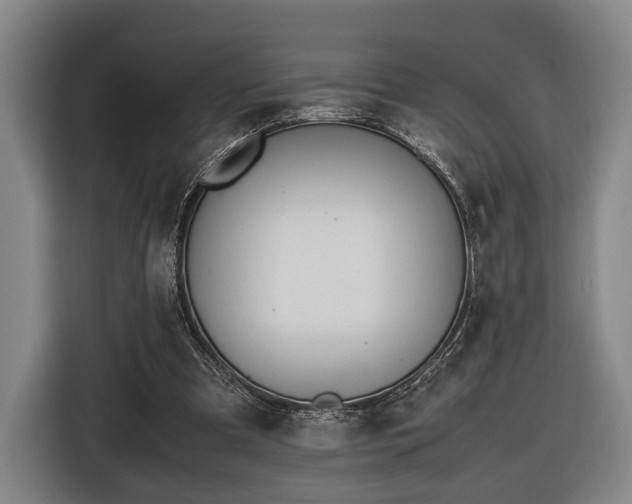 X0000116460297200912161237