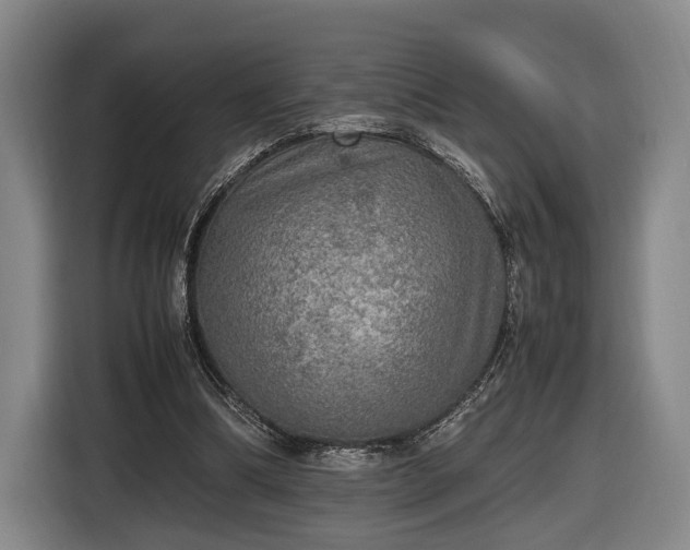 X0000116460298200912161237