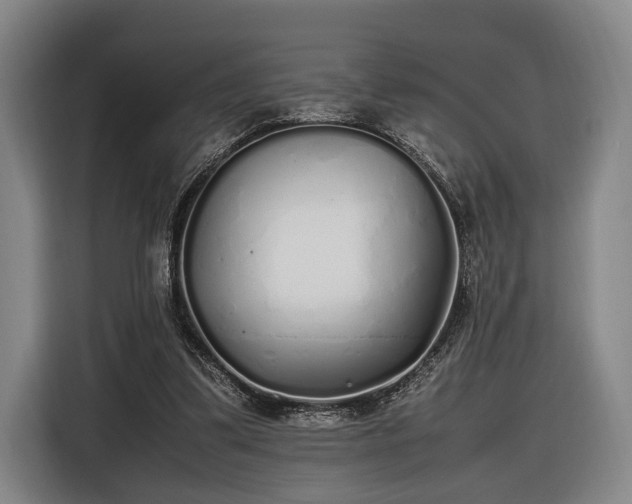 X0000116460299200912161237