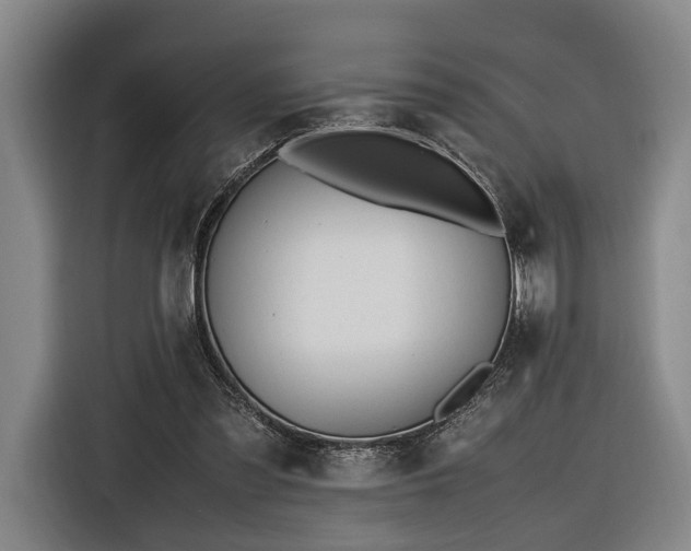 X0000116460301200912161237