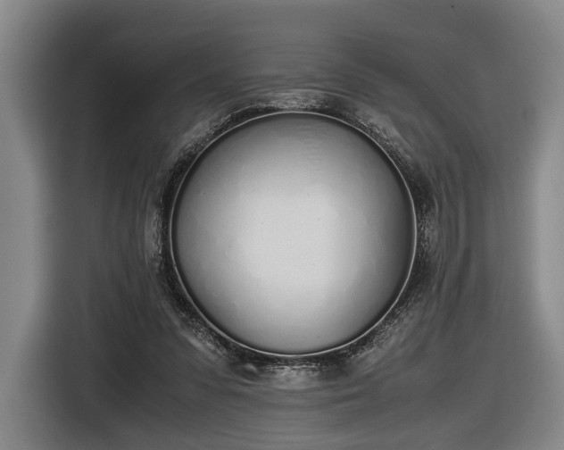 X0000116460303200912161237