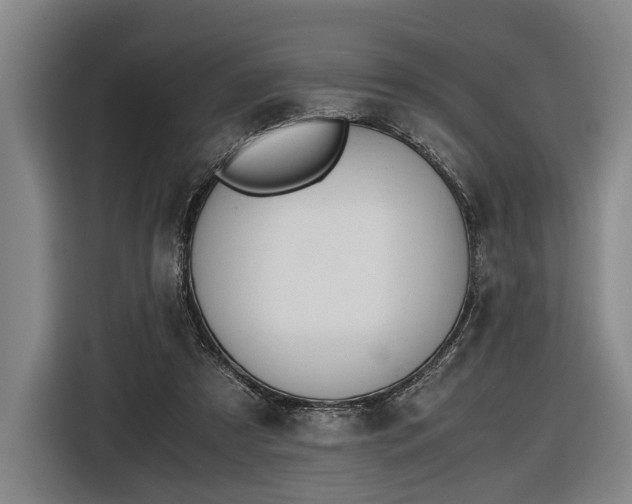 X0000116460305200912161237