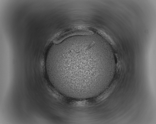 X0000116460306200912161237