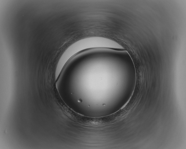 X0000116460308200912161237
