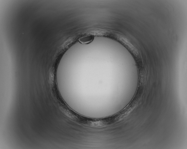 X0000116460309200912161237
