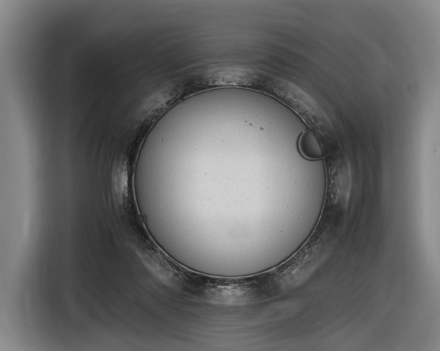 X0000116460310200912161237