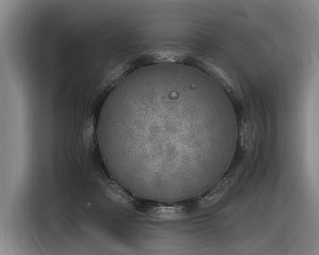 X0000116460314200912161237