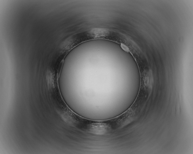 X0000116460316200912161237