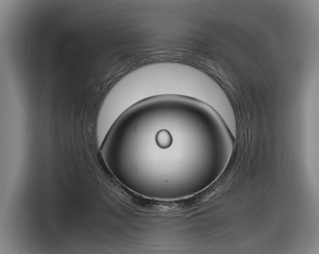 X0000116460317200912161237