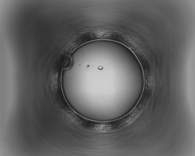 X0000116460319200912161237
