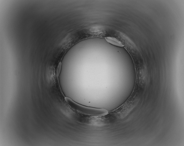 X0000116460320200912161237