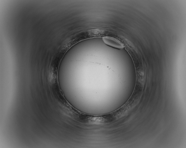 X0000116460324200912161237