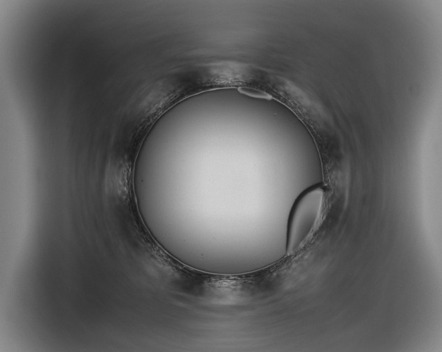 X0000116460325200912161237