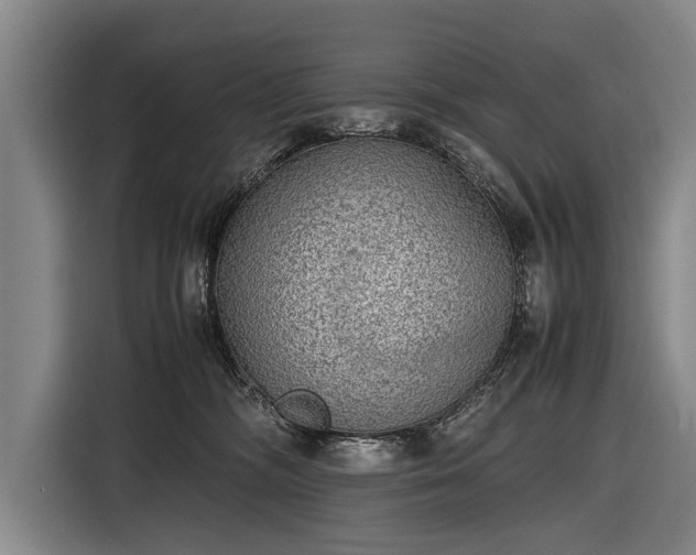X0000116460326200912161237