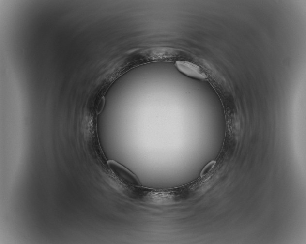 X0000116460327200912161237