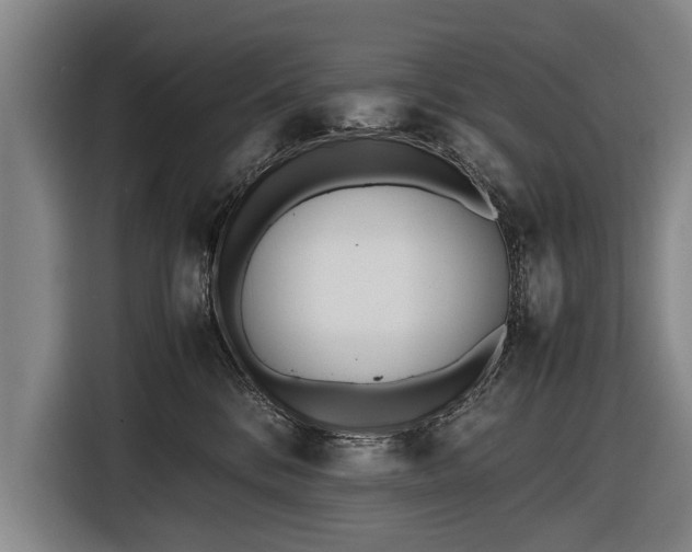 X0000116460328200912161237