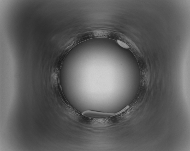 X0000116460329200912161237