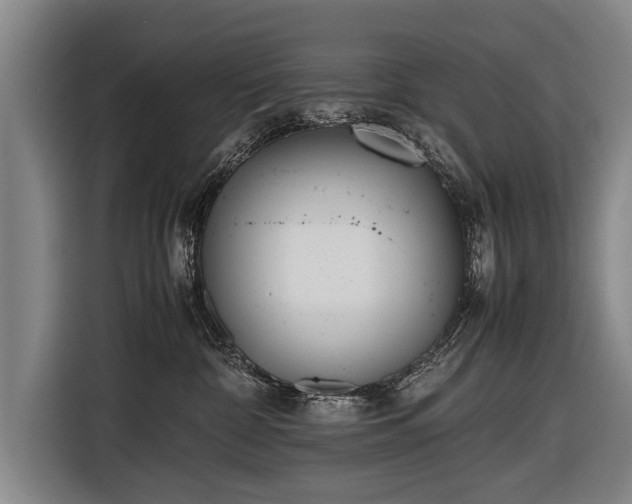 X0000116460332200912161237
