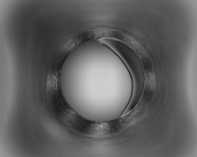 X0000116460333200912161237